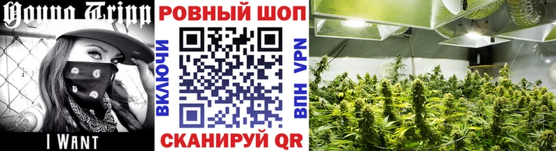 Где купить Правдинск А ПВП  ГАШ  Конопля  КОКАИН 