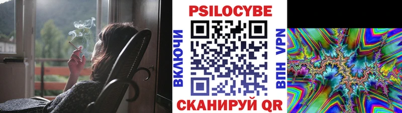 дарнет шоп  Правдинск  Галлюциногенные грибы Psilocybine cubensis 